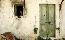 cats animals photography door houses 1920x1080 wallpaper 